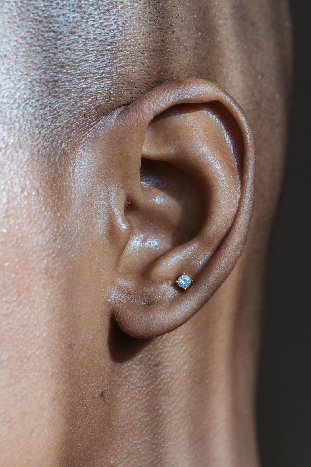 can a dog pass a stud earring